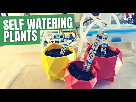 YouTube Thumbnail for I Made a Self Watering Plant System with Enviro Grow and Grow Hat Mini