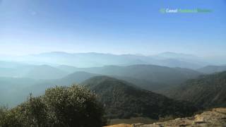 preview picture of video 'Paraje Natural de Los Reales de Sierra Bermeja, Genalguacil, Málaga'