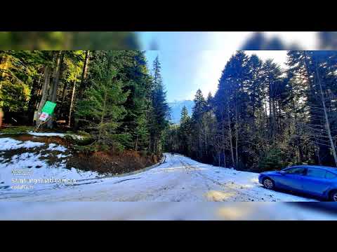 CARARI PE MUNTI - cantec de munte