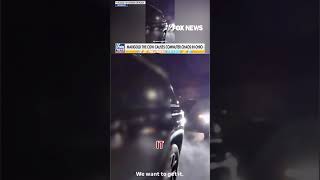 &#39;GET MOO-VING&#39;: Runaway cow causes two-hour traffic jam #foxnews #news #us #fox