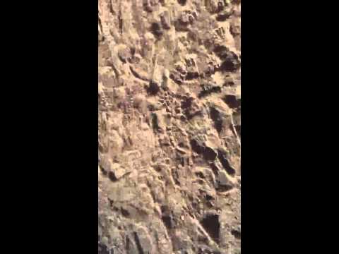 Groove Attack 25.4 @ loud