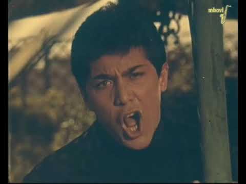Ogni Volta - Paul Anka