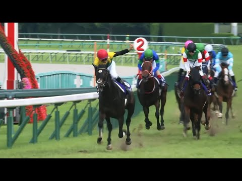 Titleholder, Japanese star going for Arc glory!