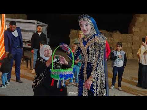 Şah Müzik - Dilan Halay Potpori ( Öget Ailesi Düğünü)