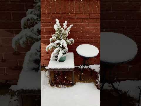❄️ New York City and New Jersey Snowstorm: Walking in Snow / #NYC #NJ #nycstreets