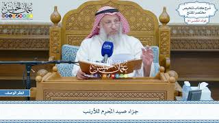 2644 - جزاء صيد المُحرِم للأرنب - عثمان الخميس