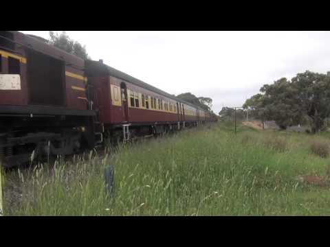 4501,4401,42101 works 5L03 into Kandos