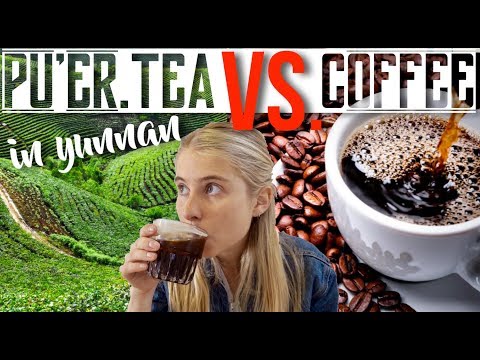 Pu'er Tea VS Coffee WHO WILL WIN?!