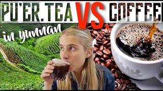 Pu-Erh-Tee vs. Kaffee: Wer gewinnt?