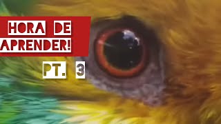 Happy Hour Learning pt.3