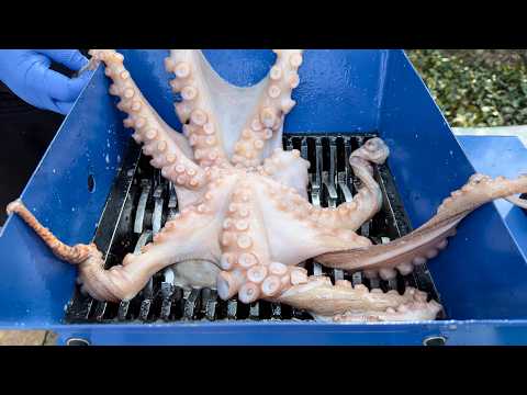 Top Shredding Moments That Will Blow Your Mind