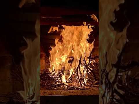 Synthwave Goose - Blade Runner 2049 Slowed Visual Video Fireplace