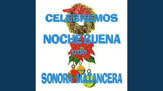 Vamos Todos De Pachanga Lyrics English Translation