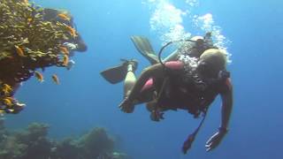 preview picture of video 'Diving Marsa Alam Brayka Bay Resort house reef 23 7 2013'