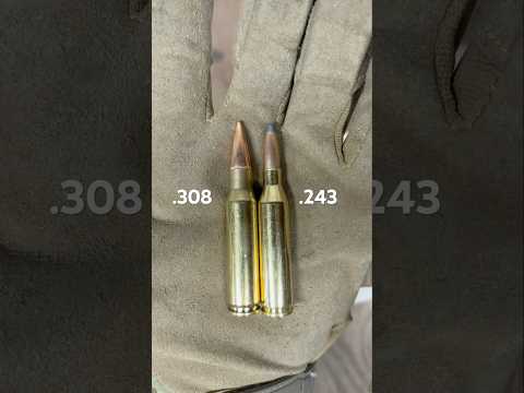 .308 vs .243 Win Size Comparison
