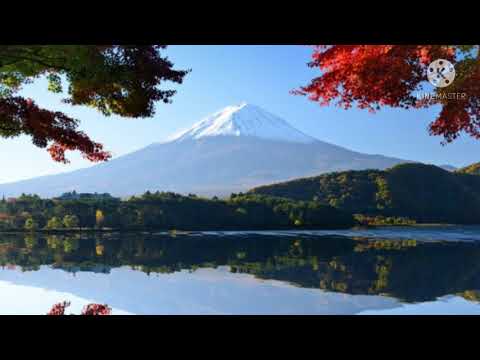 'MOONLIGHT ON THE DREAM WORLD'