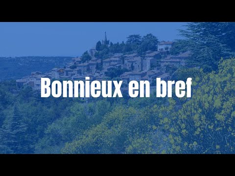 Video vignette