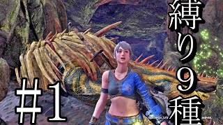 ９種の縛りでストーリークリア！【MHWI】#1