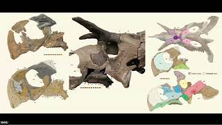 Newswise:Video Embedded loki-s-horned-dinosaur-wielded-a-pair-of-giant-blades