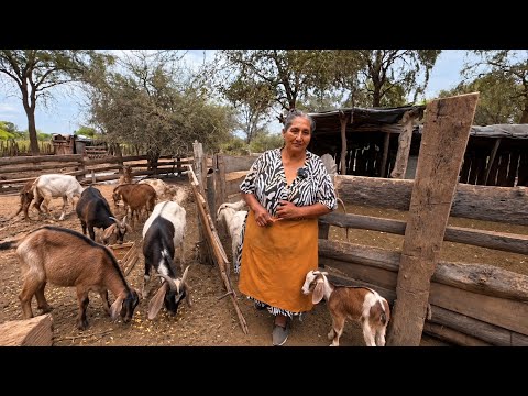 Así es la DURA VIDA de una MUJER en MEDIO del MONTE