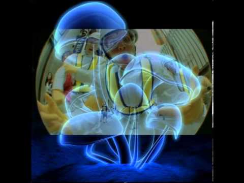 Infected Mushroom vs Beastie Boys - Intergalactic Mushroom (Syv Helix mashup)