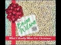 Brian Wilson　－On Christmas Day－