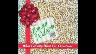 Brian Wilson　－On Christmas Day－