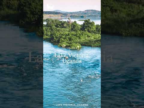 Lubaale - Ekinonoggo - Okusamira n'okutala ejjoba kyeki? - Bantubalamu