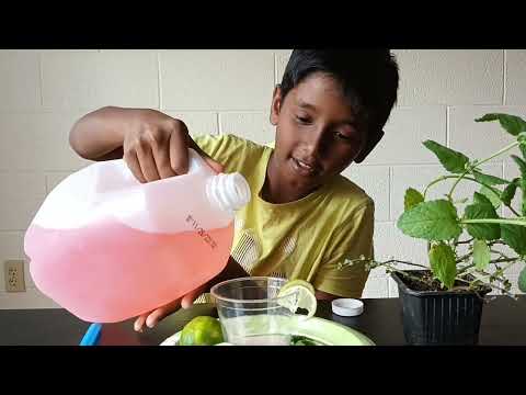 Making Lemonade 🍋🍋 in just 30 sec