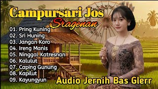 Download lagu CAMPURSARI JAWA SPESIAL ALBUM 2025 - SRAGENAN CAMPURSARI FULL BASS GLER - LANGGAM JAWA  mp3 Download lagu CAMPURSARI JAWA SPESIAL ALBUM 2025 - SRAGENAN CAMPURSARI FULL BASS GLER - LANGGAM JAWA  mp3