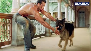 Download lagu कुत्ते की वजह से सलमान खान गिरफ्तार होने से बचा - जबदस्त एक्शन सीन्स - तुमको न भूल पाएंगे मूवी mp3