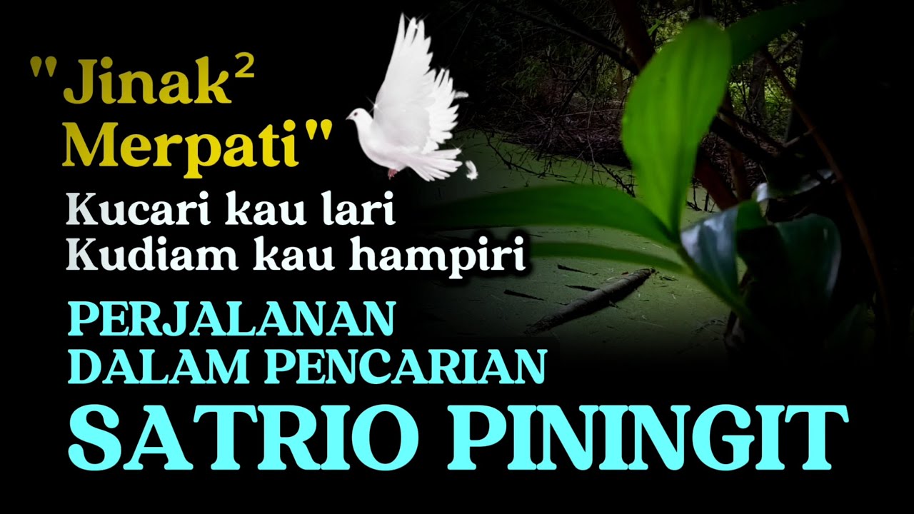 Perjalanan dalam pencarian SATRIO PININGIT