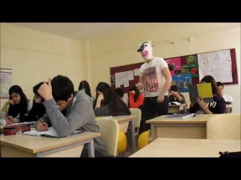 izakk’s Video 29703802531 fD9lvKQ_xBQ