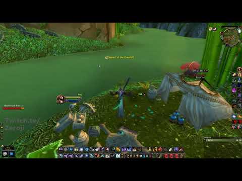 TBC: Classic Hunter Zul'Gurub AOE Boost/farm