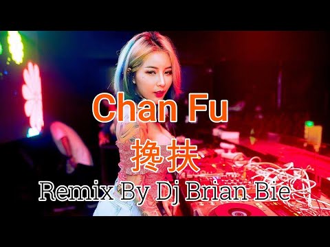 Chan Fu - 搀扶 (Electro Manyao) By Dj Brian Bie #dj #manyaodj #manyaoremix #remix #manyao