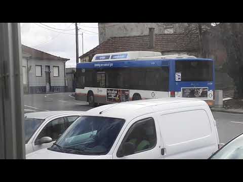 STCP linha 805 veiculo 3129