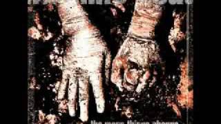 Machine head - bay of pigs