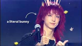 Download lagu Junhan proving bunny allegations in 5 minutes! mp3