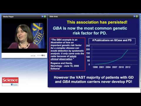 Between Thought and Therapy: Translating Neurobiology Research Into Treatments