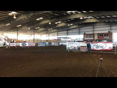 Gracie Lou Bustin out Futurity 12/30/17