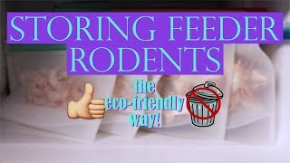 STORING FEEDER RODENTS | The Eco-Friendly Way!