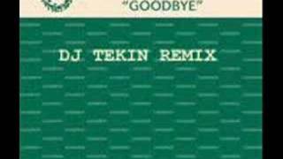 HI ON LIFE ft JONIECE--GOODBYE-DJ TEKIN RMX