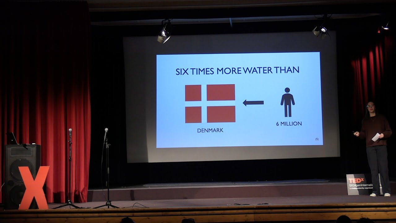 The impact of AI on the world | Frida Cunningham | TEDxStGilgenInternationalSchool