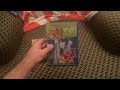 Animal Jam Spring In VHS DVD Comparison