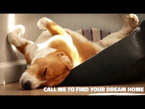 Commercial posted 09/07/2017