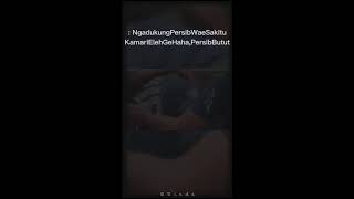Download lagu Story Wa Persib Bandung 🔥 mp3
