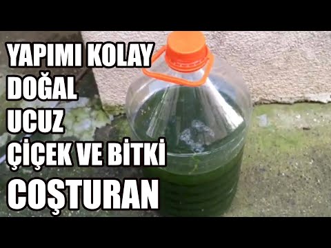 , title : 'Isırgan Otundan Organik Sıvı Gübre Nasıl Yapılır l (NPK) Gübre Yapımı | Azot Fosfor Potasyum Gübresi'