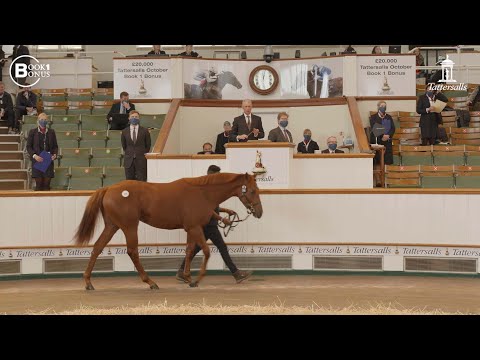 Tattersalls October Yearling Sale Book 1