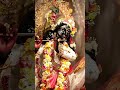 Tu Hai Toh Dil Dhadakta Hai Shree Krishna Status Krishnajanmashtami Krishnastatus Radha