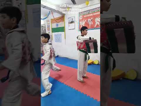 Taekwondo classes